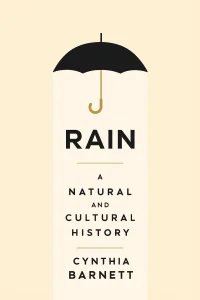 Rain cover