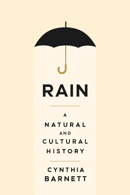 Rain cover