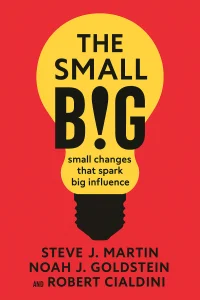 The Small BIG cover