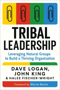 Tribal Leadership cover