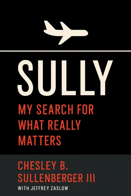 Sully cover