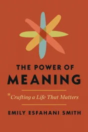 The Power Of Meaning cover