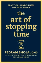 The Art of Stopping Time cover
