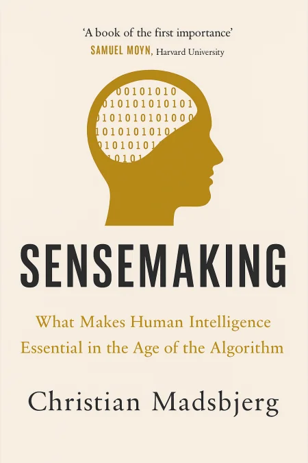 Sensemaking cover