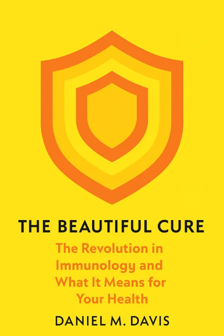 The Beautiful Cure cover