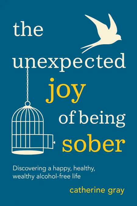 The Unexpected Joy of Being Sober cover